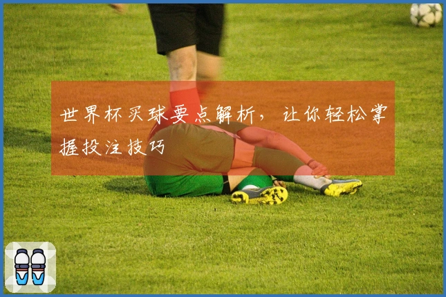 世界杯买球要点解析，让你轻松掌握投注技巧