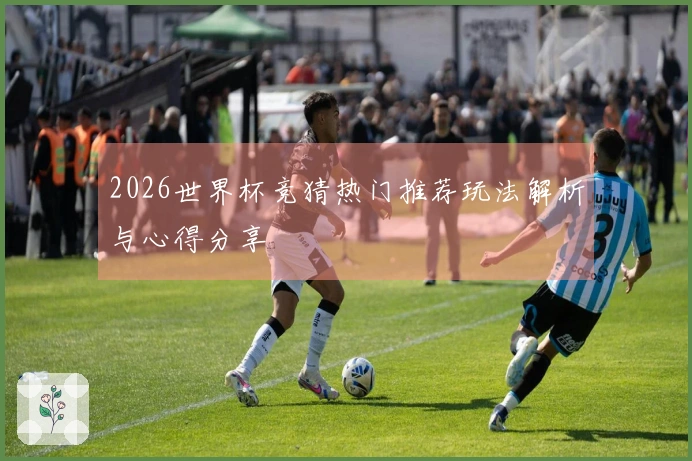 2026世界杯竞猜热门推荐玩法解析与心得分享