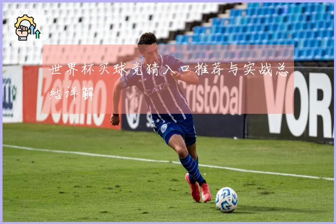 世界杯买球竞猜入口推荐与实战总结详解
