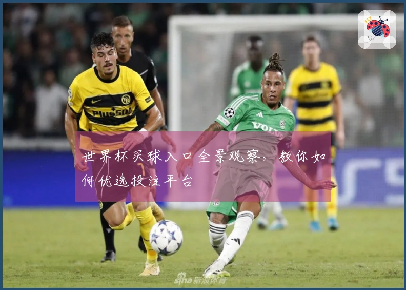 世界杯买球入口全景观察,教你如何优选投注平台