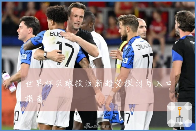 世界杯买球投注新趋势探讨与入口指南