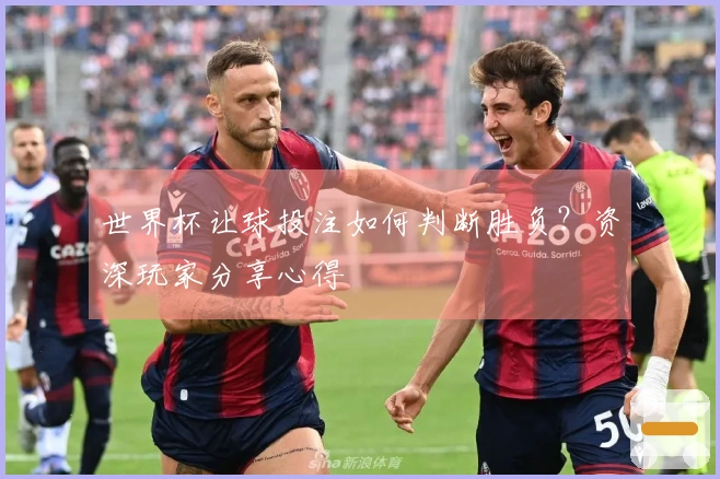 世界杯让球投注如何判断胜负？资深玩家分享心得