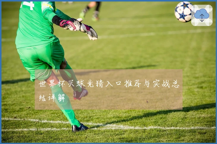 世界杯买球竞猜入口推荐与实战总结详解
