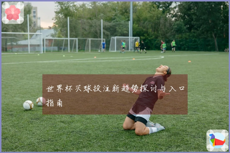 世界杯买球投注新趋势探讨与入口指南