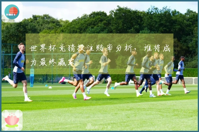 世界杯竞猜投注赔率分析，谁将成为最终赢家
